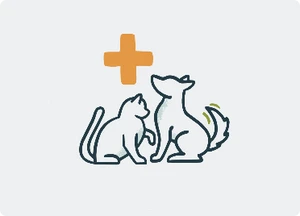 Pet wellness clinic