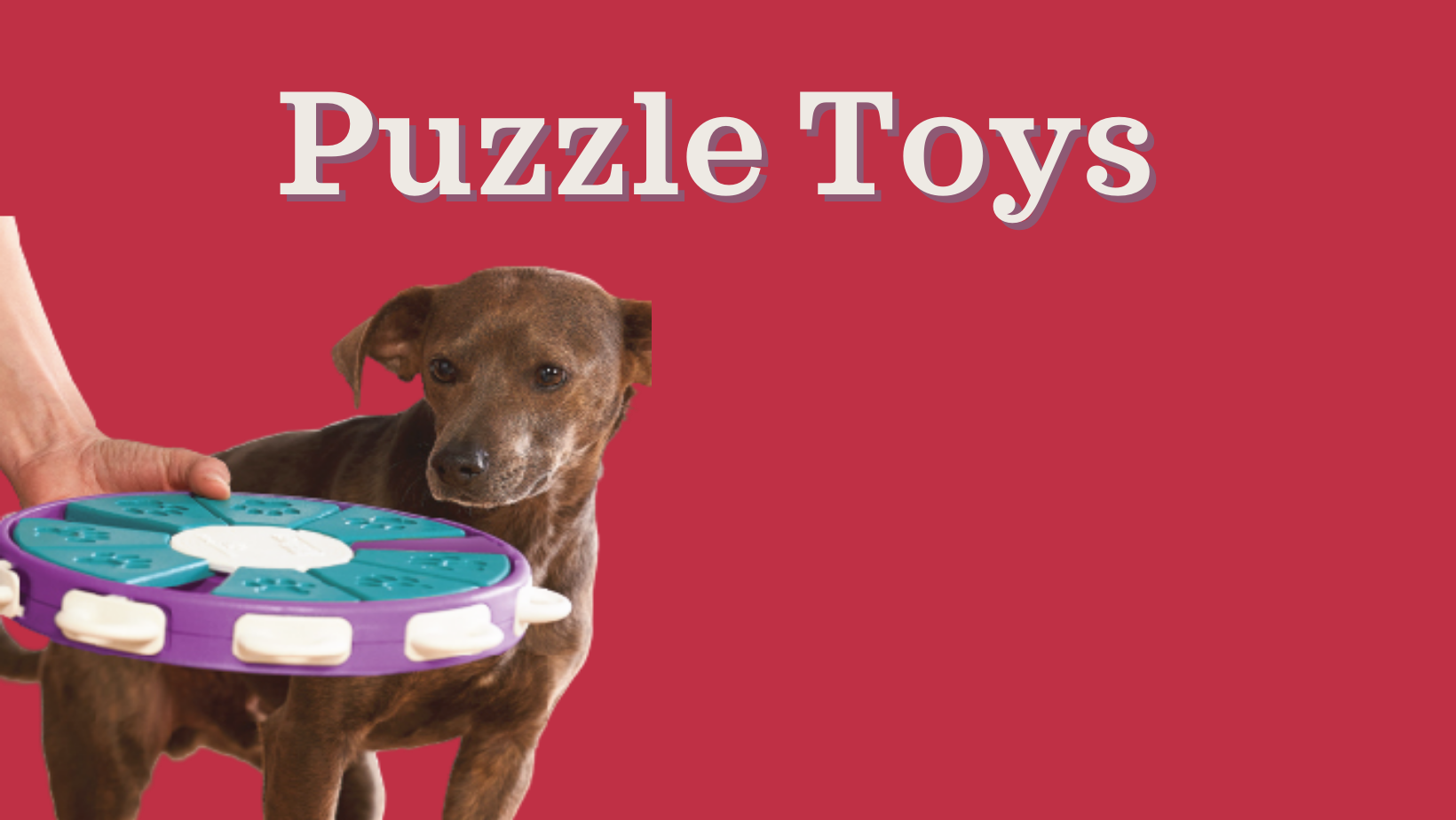 https://chowhoundpetsupplies.com/product_images/uploaded_images/dog-puzzle-blog-image.png